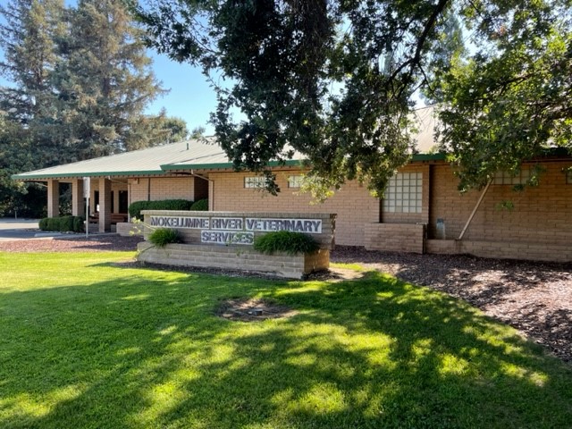 Veterinarian in Lockeford, CA